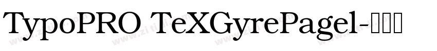 TypoPRO TeXGyrePagel字体转换